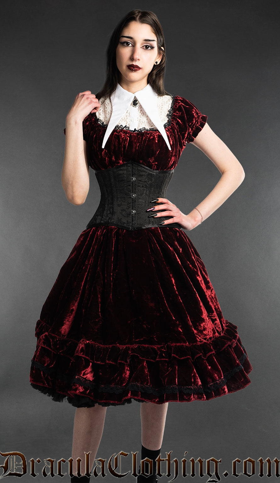 Bordeaux red velvet women's knee-length dress worn by model with waist cincher and white lapel collar
