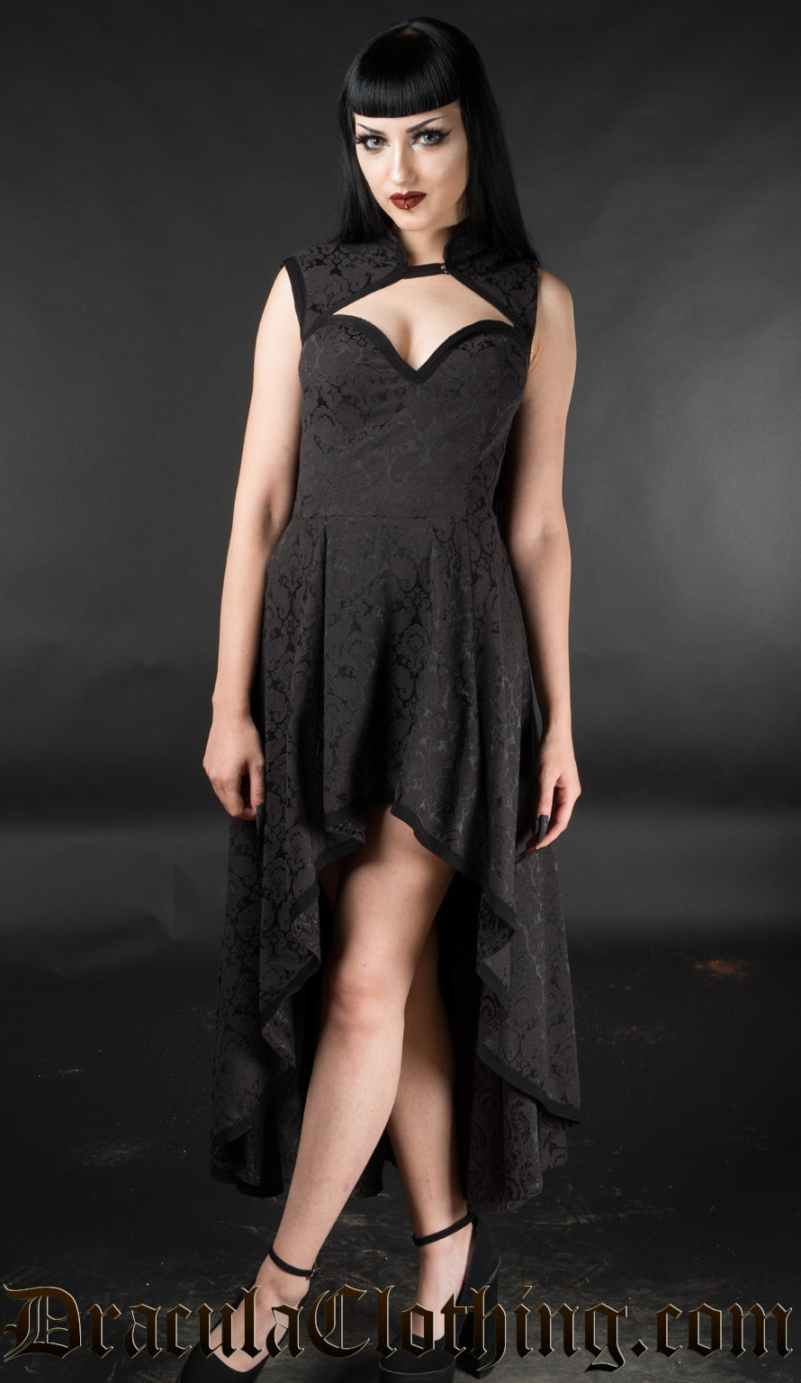 Women's black brocade queen anne style collar high low dress shown on model