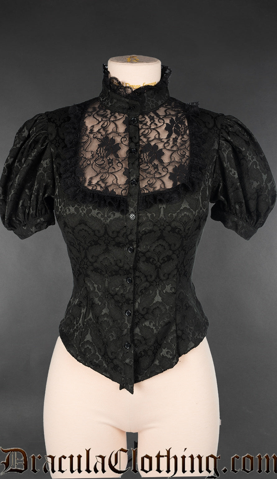 Women's high collar brocade blouse with short sleeves and sheer lace bodice panel