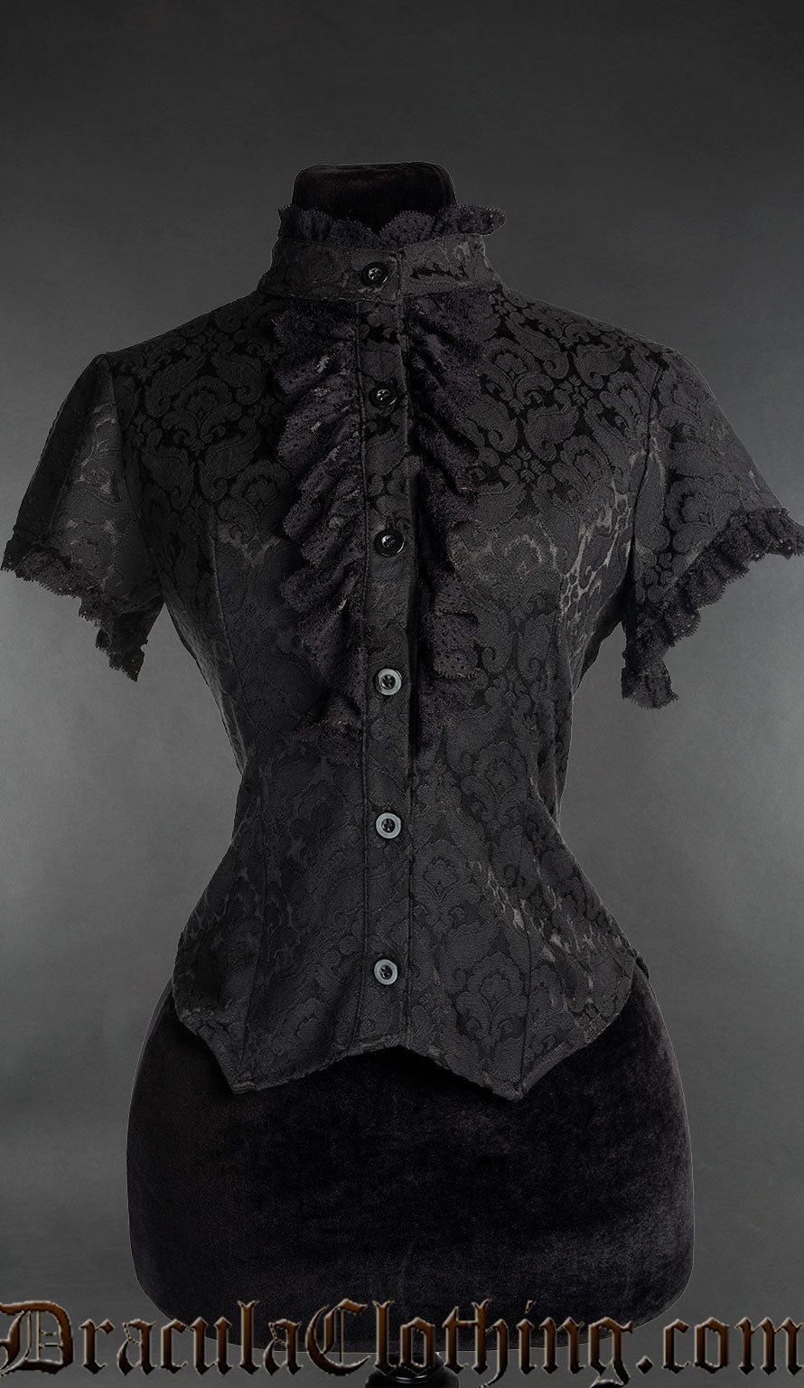 Brocade Short Sleeved Lace Blouse