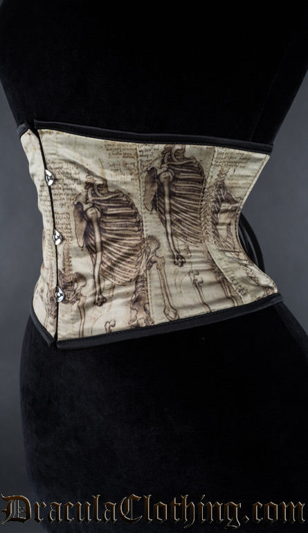 Leonardo Waist Cincher