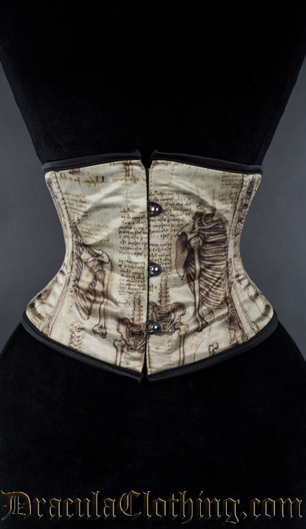 Leonardo Waist Cincher