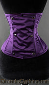 Purple Panel Corset