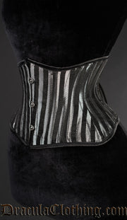 Silver Striped Extreme Waist Cincher