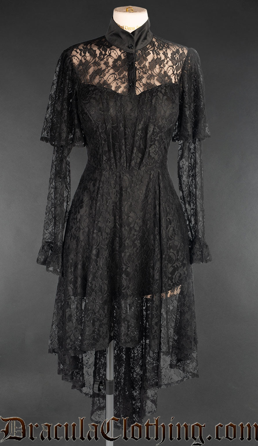 Women's sheer black lace dress with long sleeves high collar and long sleeves