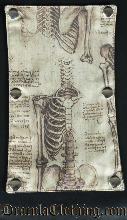 Da Vinci Skeletons Panel